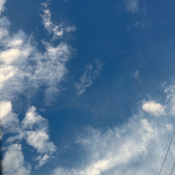 Meet your Posher, Maddy - Picture 1 of 1